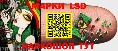крисы Будённовск