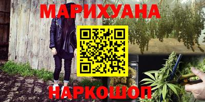 крисы Будённовск