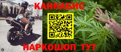 крисы Будённовск