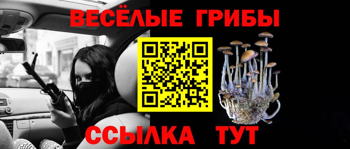 Галлюциногенные грибы MAGIC MUSHROOMS Кулебаки