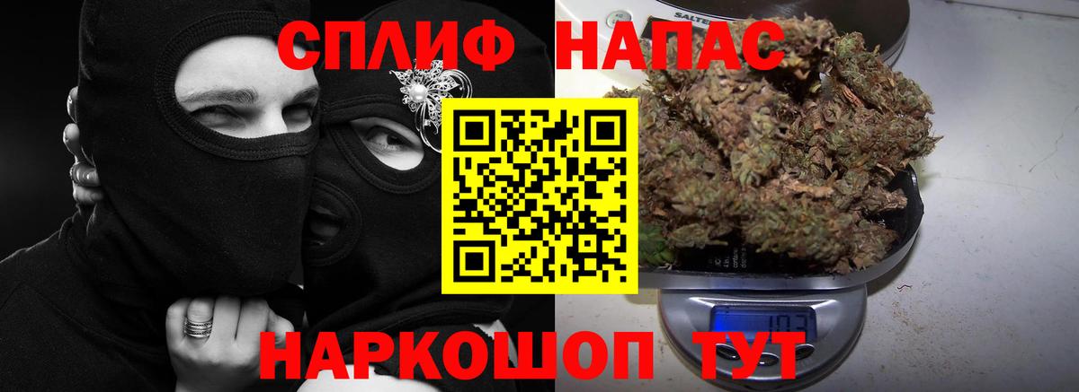 Конопля гибрид Кулебаки